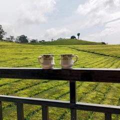 Tea Estate view stay