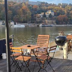 Appartement dans Péniche atypique et idyllique à Confluence