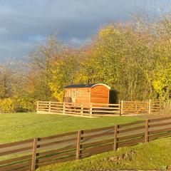 The Snug at Coed Y Gaer