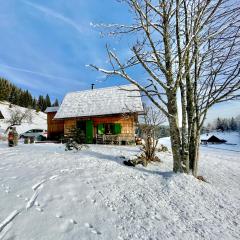 Chalet Hike&Bike above Bohinj valley