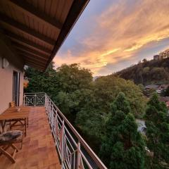 Ferienwohnung Tostner Burgblick