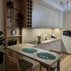 Apartament Słoneczny -Ściegiennego (garaż, centrum)