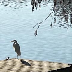 Kingwood Cottage - 10 mins from IAH - Lake Front