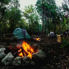 Camping Aldea Molco