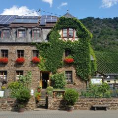 Weingut -1869- Brunnenhof