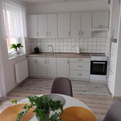 Apartament 41