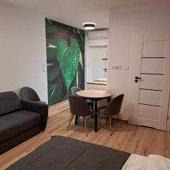 Apartamenty Zielony Liść