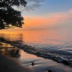 Borbon's Treehouse By the Sea