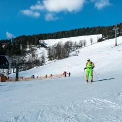 Alpenpension Gasthof