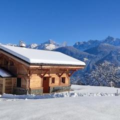 Chalet neuf vue panoramique sur le MONT-BLANC