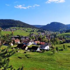 Ferienwohnung, Sauna & Gästekarte gratis im Schwarzwald