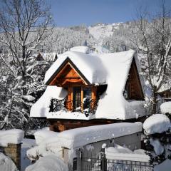 Domek Gniewnik Zakopane