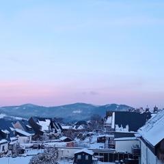 Winterberg Centrum 1 mit privaten Ski Keller