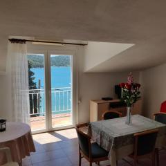 Apartment in Tisno with sea view, balcony, air conditioning, WiFi (4874-4)