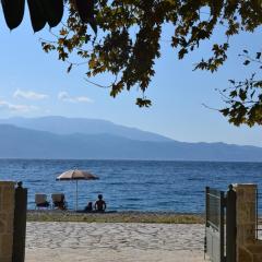 The Beach House, Skaloma