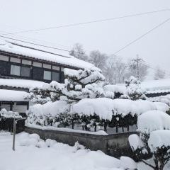 Farm stay inn 母屋 Sanzaemon-tei GuestHouse Second floor Shiga-Takasima Traditional Japanese architecture house Limited to one group per day