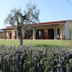 Agriturismo Il vecchio mandorlo