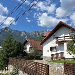 Rustic House Busteni