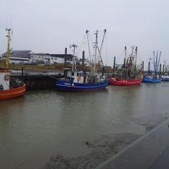 Nordsee und Natur. Gemütliche Fewo mit Deichblick