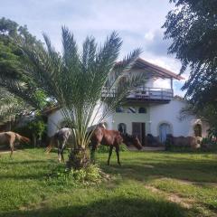 Horse Inn - Posada