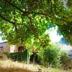 Cortijo rural El Albercón - Capileira - Alpujarra Rural