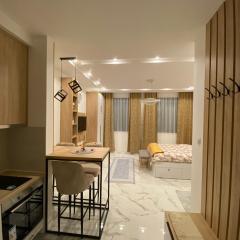 Apartman Cristal LUX