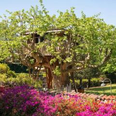 Lake Como Dream Tree House