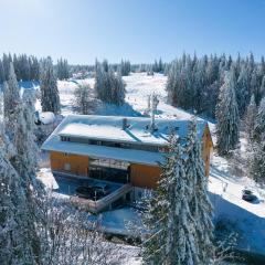 Wiesenquell Apartment Feldberg