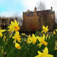 The Manor at Plane Castle