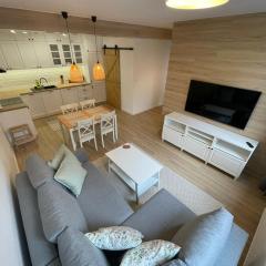 APARTAMENTY GUZIK 22