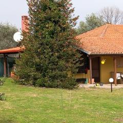 Olympos House