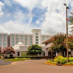 Delta Hotels by Marriott Chesapeake Norfolk