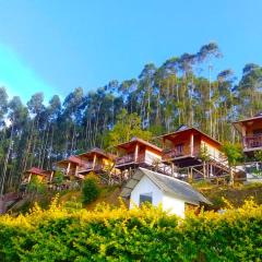 CHEENI HILL RESORTS