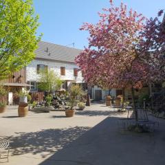 Schöne Wohnung Kleiner Onkel auf idyllischem Reiterhof nahe Burg Eltz