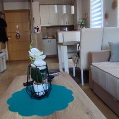 Apartman FilaLux