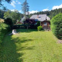 Holiday home in Bad Mitterndorf - Steiermark 41125