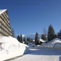 Apartment in Bad Mitterndorf - Steiermark 36988