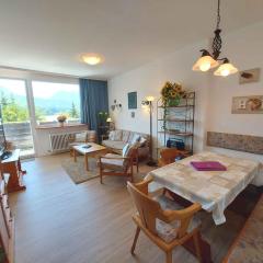 Apartment in Bad Mitterndorf - Steiermark 41509