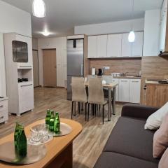 Apartament Elżbieta