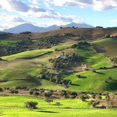 Finca Las Campanas II