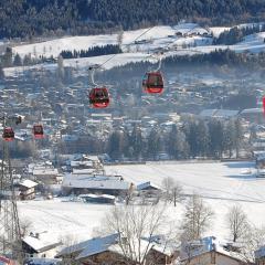 Hotel Edelweiss Kitzbühel