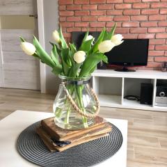 Uroczy apartament w Giżycku