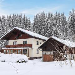 Großes Ferienhaus In Gosau