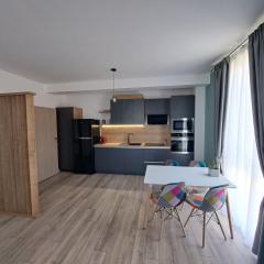 Velvet Premium Apartments Baile Felix