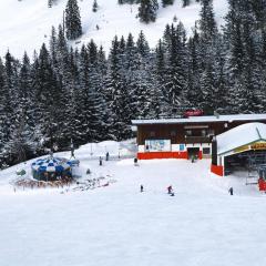 Apartment in Bayrischzell with 2 saunas