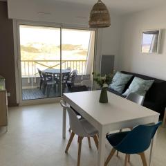 Appartement F2 avec balcon, à 2 pas de la plage, parking privé, animaux admis - FR-1-482-113