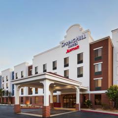 SpringHill Suites by Marriott San Antonio Downtown-Riverwalk Area