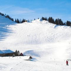 Pleasant apartment in Bayrischzell with wellness