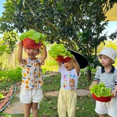 Homestay Vườn Trái Cây Nhiệt Đới VÔ ƯU GARDEN