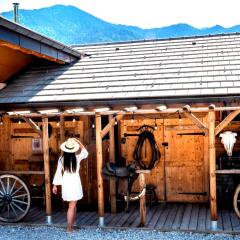 Chalet Saloon avec SPA privatif en illimité